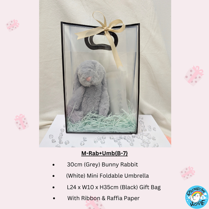 Gift Set /Birthday Christmas Gift/Companion Gift/ Teachers Day/Living Hampers礼品套装