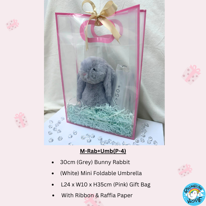 Gift Set /Birthday Christmas Gift/Companion Gift/ Teachers Day/Living Hampers礼品套装