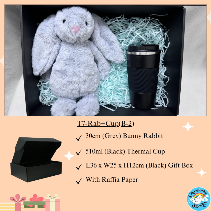 Gift Set /Birthday Christmas Gift/ Companion Gift/ Teachers Day/ Living Hampers礼品套装