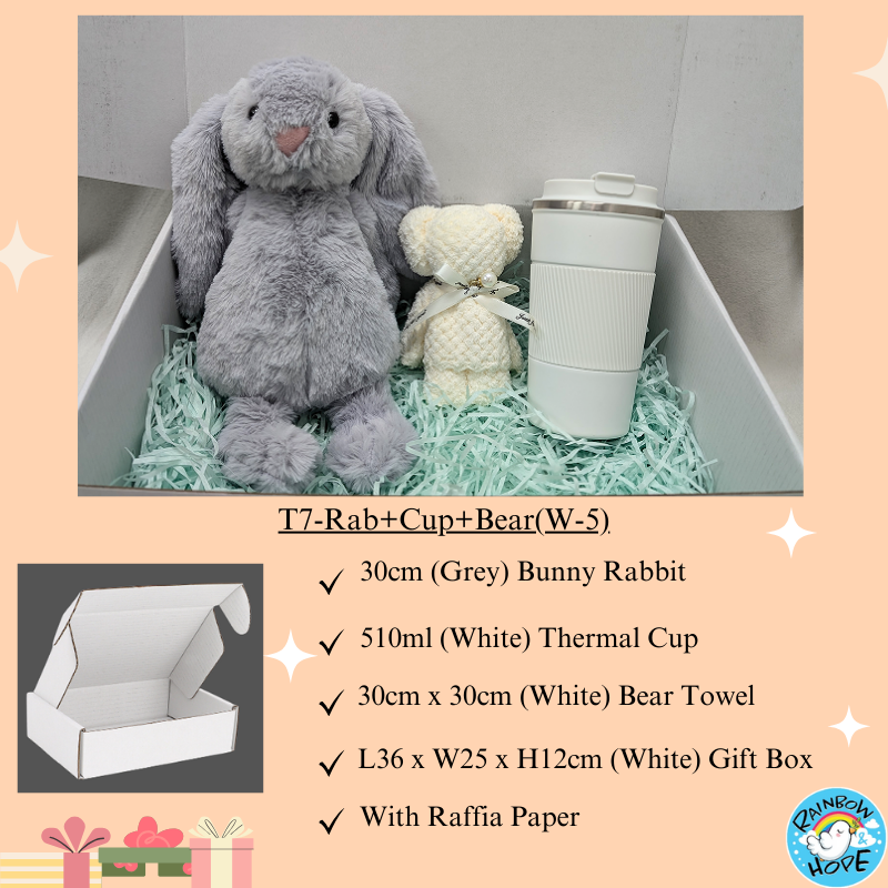 Gift Set /Birthday Christmas Gift/ Companion Gift/ Teachers Day/ Living Hampers礼品套装