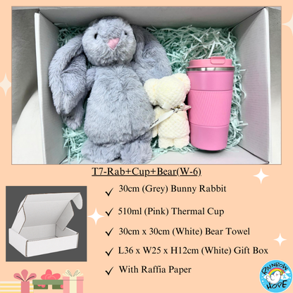 Gift Set /Birthday Christmas Gift/ Companion Gift/ Teachers Day/ Living Hampers礼品套装