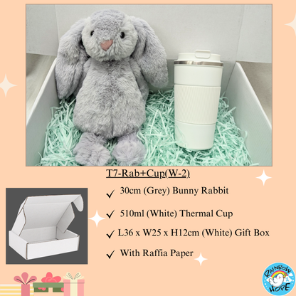 Gift Set /Birthday Christmas Gift/ Companion Gift/ Teachers Day/ Living Hampers礼品套装