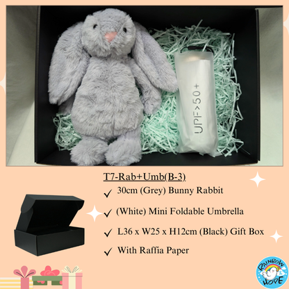 Gift Set /Birthday Christmas Gift/ Companion Gift/ Teachers Day/ Living Hampers礼品套装