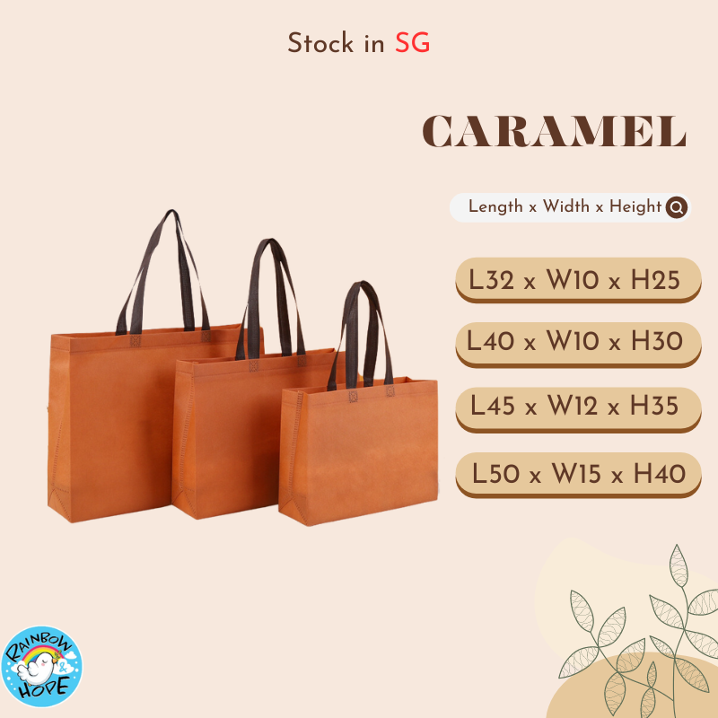 NonWoven Fabric Bag/ Recycle Shopping Bag多用途环保袋 /购物袋