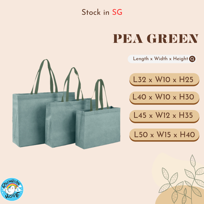 NonWoven Fabric Bag/ Recycle Shopping Bag多用途环保袋 /购物袋