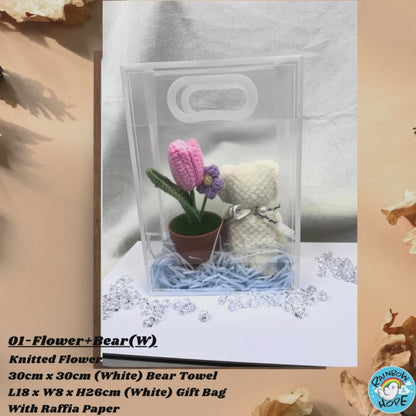 Gift Set /Birthday Christmas Gift/ Companion Gift/ Teachers Day/ Artificial Potted Plant礼物套装