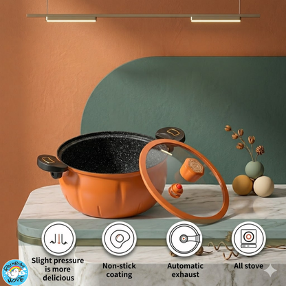 Multi-Function Non-Stick Micro Pressure Cooker Pot Sauce多功能不粘微型高压锅珐琅微压汤锅